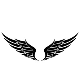 翅膀
