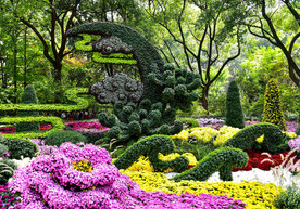 上海汇龙潭公园