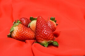 草莓  