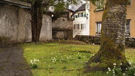 奥地利文化景观