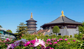 隋唐洛阳城国家遗址公园