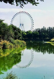 公园摩天轮