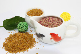 没去皮的藜麦种子