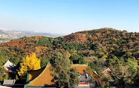 北京香山公园