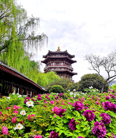 西安兴庆宫公园