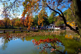 苏州天平山秋天