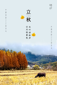 立秋二十四节气