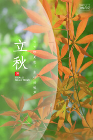 立秋二十四节气