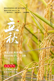 二十四节气立秋