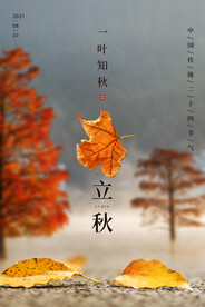 二十四节气立秋