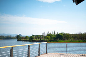 园林景观 湖水 公园一角 