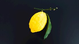 柠檬             