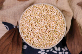 饱满干净的白藜麦米