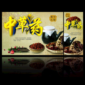 中草药  海报素材  中医文化