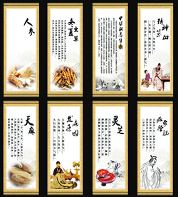 中草药  海报素材  中医文化