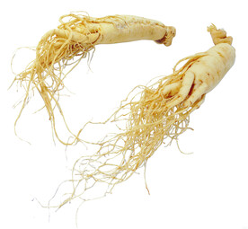 中草药  人参海报素材