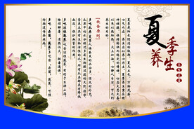 中草药  海报素材  中医文化