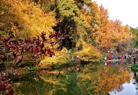长沙岳麓山秋天