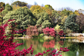 岳麓山穿石坡湖