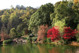 岳麓山穿石坡湖