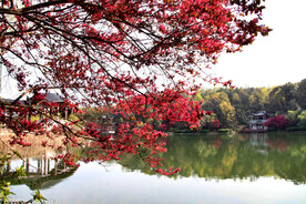 岳麓山穿石坡湖