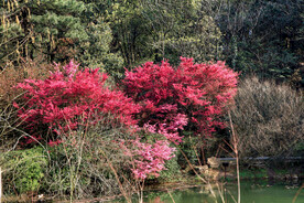 岳麓山穿石坡湖