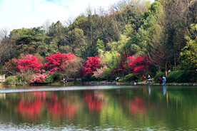 岳麓山穿石坡湖