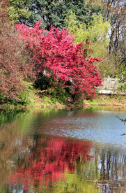 岳麓山穿石坡湖