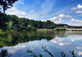 岳麓山穿石坡湖