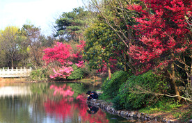 岳麓山穿石坡湖