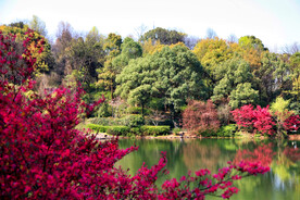 岳麓山穿石坡湖