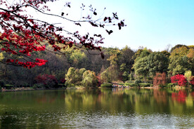 岳麓山穿石坡湖