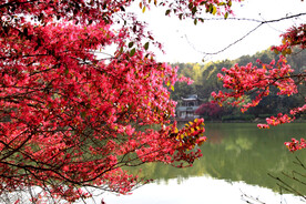 岳麓山穿石坡湖