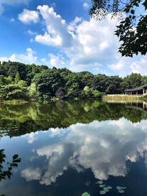 岳麓山穿石坡湖