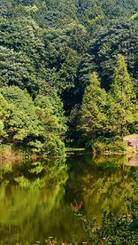 岳麓山穿石坡湖