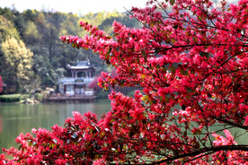 岳麓山穿石坡湖