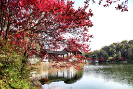 岳麓山穿石坡湖