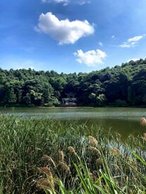 岳麓山穿石坡湖