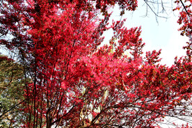 岳麓山穿石坡湖
