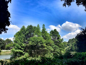 岳麓山穿石坡湖