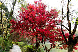 岳麓山穿石坡湖