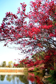 岳麓山穿石坡湖