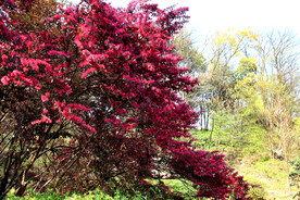 岳麓山穿石坡湖