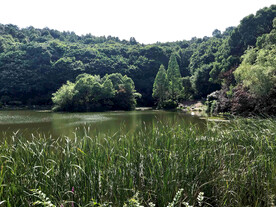 岳麓山穿石坡湖