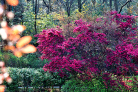 岳麓山穿石坡湖