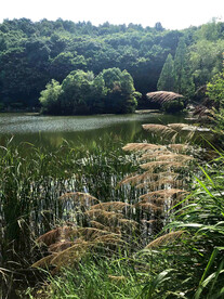 岳麓山穿石坡湖