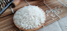白透香米