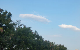 蓝天白云和树