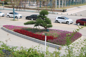 公园门前大花坛