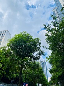 城市建筑高空美景